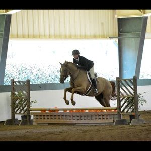 Meet your Posher, Joshua